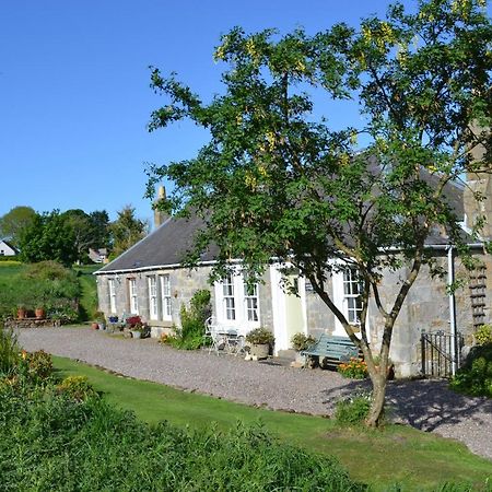 Balmungo Cottage B&B St Andrews Buitenkant foto
