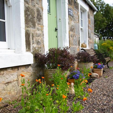 Balmungo Cottage B&B St Andrews Buitenkant foto