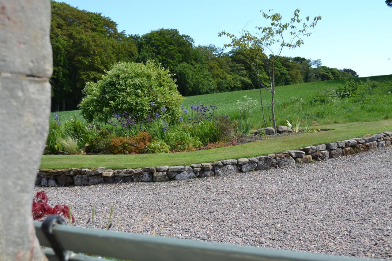 Balmungo Cottage B&B St Andrews Buitenkant foto