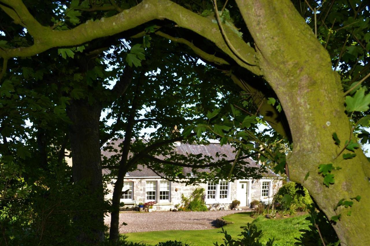 Balmungo Cottage B&B St Andrews Buitenkant foto