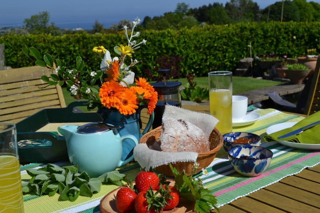 Balmungo Cottage B&B St Andrews Buitenkant foto