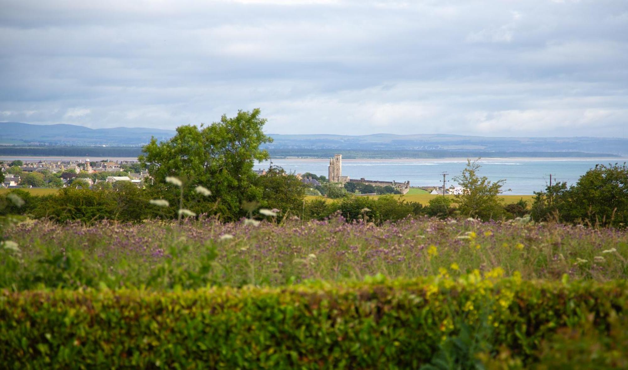 Balmungo Cottage B&B St Andrews Buitenkant foto