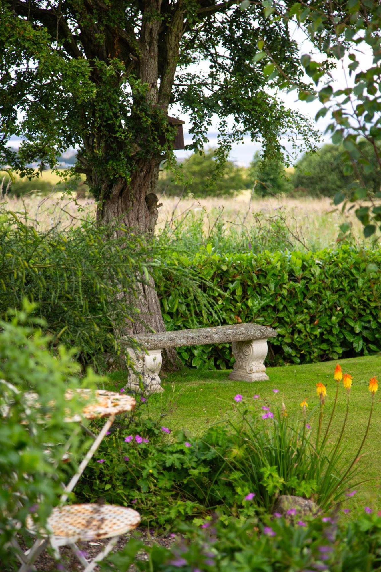 Balmungo Cottage B&B St Andrews Buitenkant foto