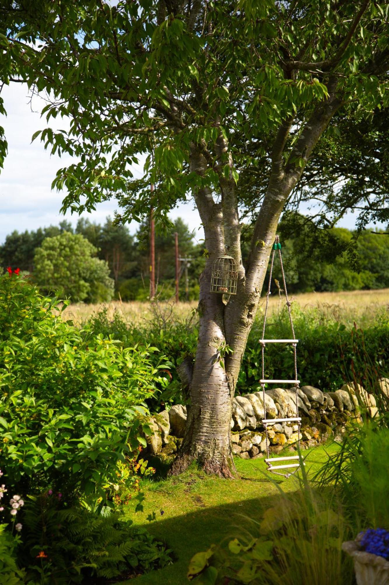 Balmungo Cottage B&B St Andrews Buitenkant foto