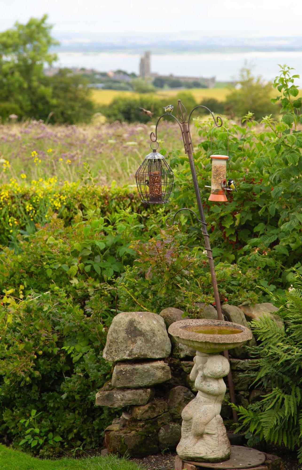 Balmungo Cottage B&B St Andrews Buitenkant foto