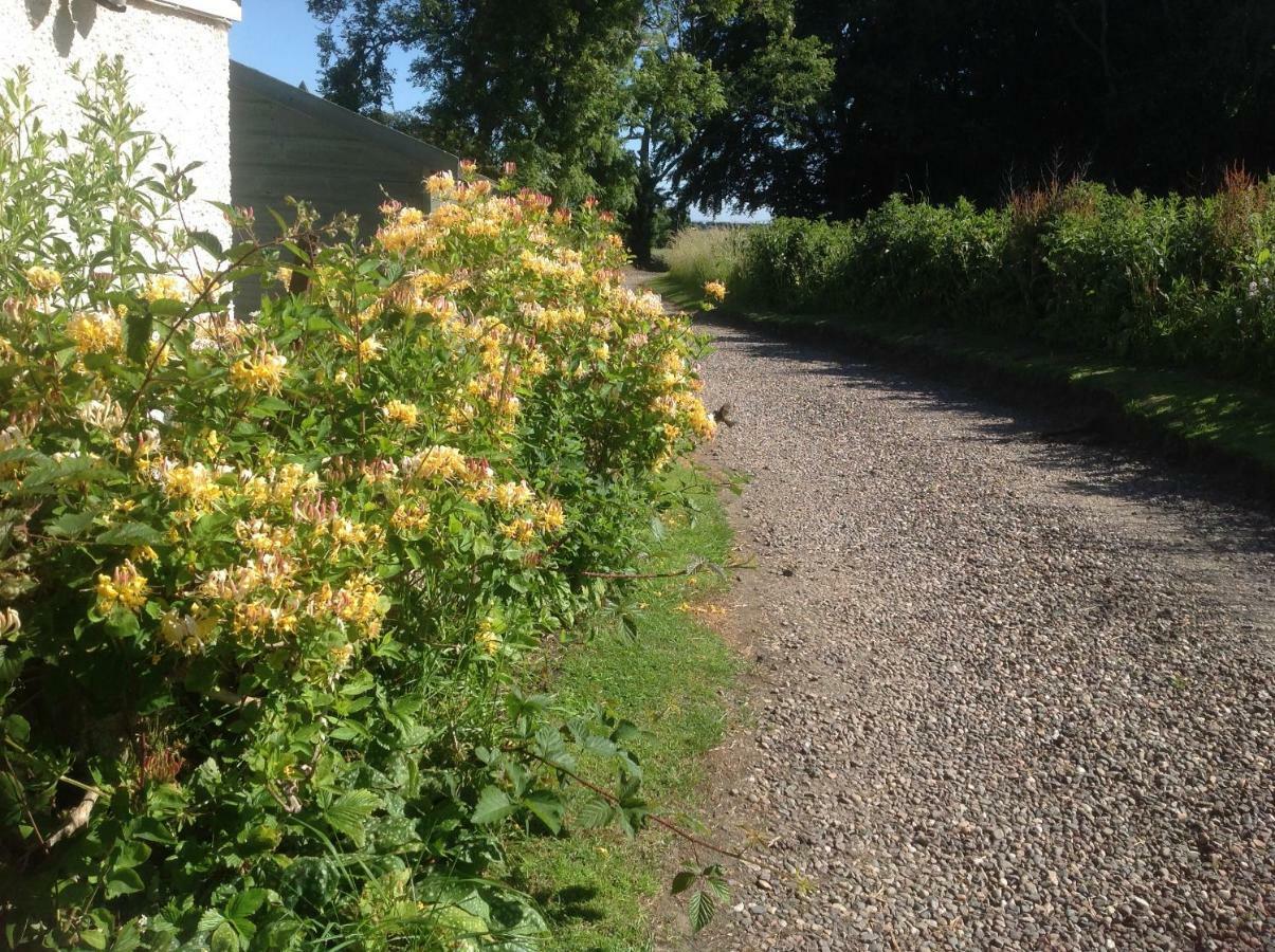 Balmungo Cottage B&B St Andrews Buitenkant foto
